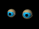Eyeballs1